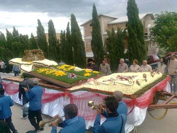 545780_379282002113#1618830